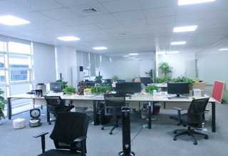 徐州梨苗销售电话