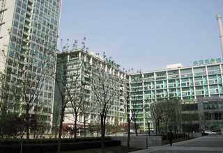 杨浦区白松木板电话