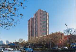 天津建筑早强剂哪里买